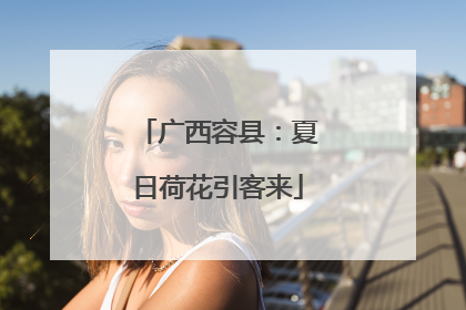 广西容县：夏日荷花引客来