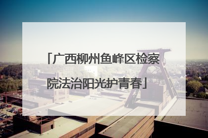 广西柳州鱼峰区检察院法治阳光护青春