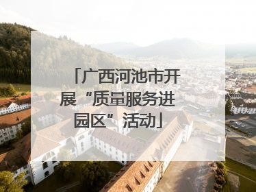 广西河池市开展“质量服务进园区”活动