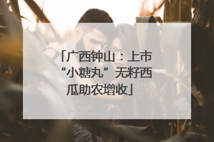 广西钟山：上市“小糖丸”无籽西瓜助农增收