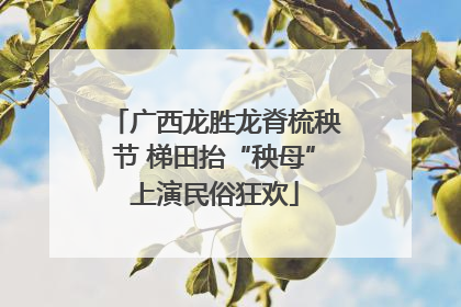 广西龙胜龙脊梳秧节 梯田抬“秧母”上演民俗狂欢