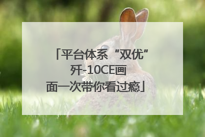 平台体系“双优”  歼-10CE画面一次带你看过瘾