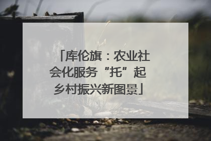 库伦旗：农业社会化服务“托”起乡村振兴新图景
