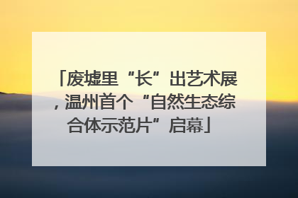 废墟里“长”出艺术展，温州首个“自然生态综合体示范片”启幕