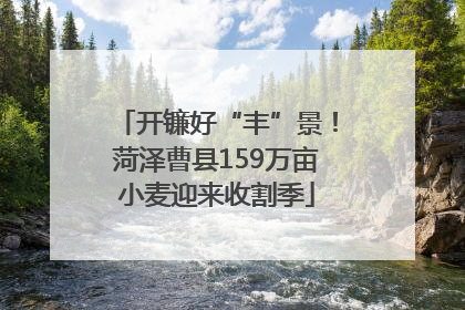 开镰好“丰”景！菏泽曹县159万亩小麦迎来收割季