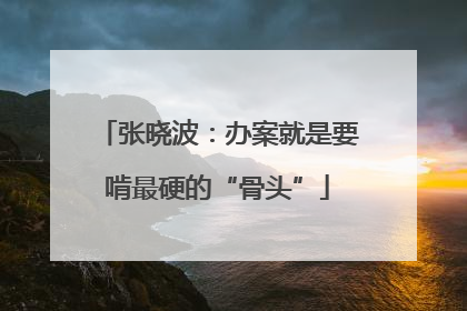 张晓波：办案就是要啃最硬的“骨头”