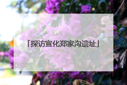 探访宣化郑家沟遗址