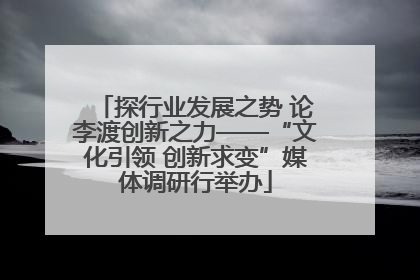 探行业发展之势 论李渡创新之力——“文化引领 创新求变”媒体调研行举办