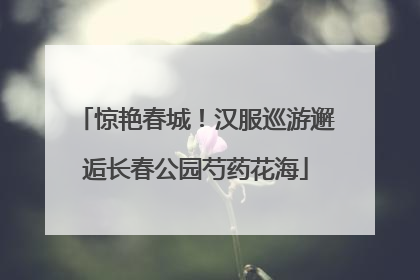 惊艳春城！汉服巡游邂逅长春公园芍药花海
