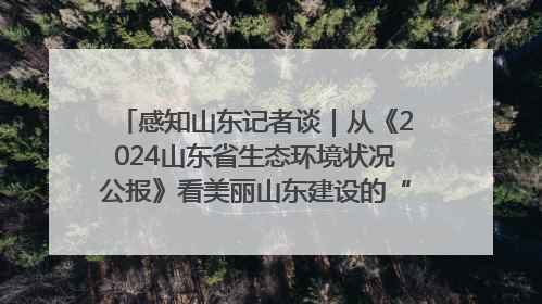 感知山东记者谈｜从《2024山东省生态环境状况公报》看美丽山东建设的“成绩单”与“任务书”