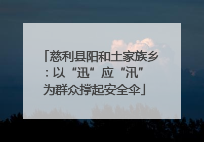 慈利县阳和土家族乡：以“迅”应“汛” 为群众撑起安全伞