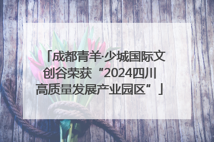 成都青羊·少城国际文创谷荣获“2024四川高质量发展产业园区”