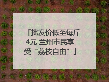 批发价低至每斤4元 兰州市民享受“荔枝自由”