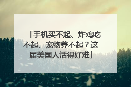 手机买不起、炸鸡吃不起、宠物养不起？这届美国人活得好难