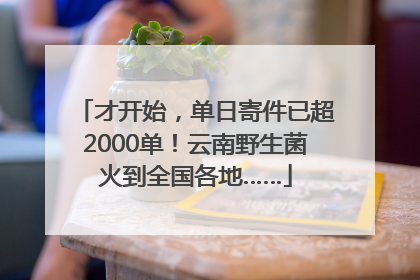 才开始，单日寄件已超2000单！云南野生菌火到全国各地……
