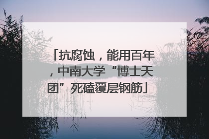 抗腐蚀，能用百年，中南大学“博士天团”死磕覆层钢筋