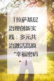 拉萨基层治理创新实践：多元共治激活高原“幸福密码”
