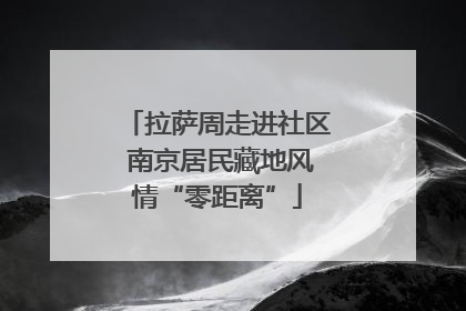拉萨周走进社区 南京居民藏地风情“零距离”