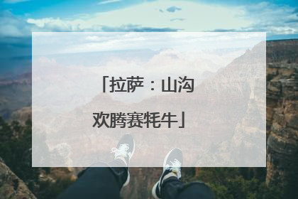 拉萨：山沟欢腾赛牦牛