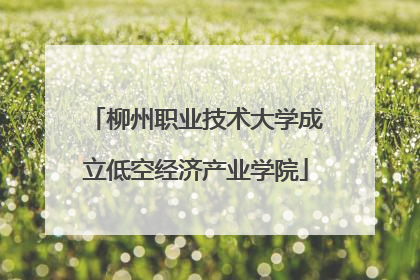 柳州职业技术大学成立低空经济产业学院