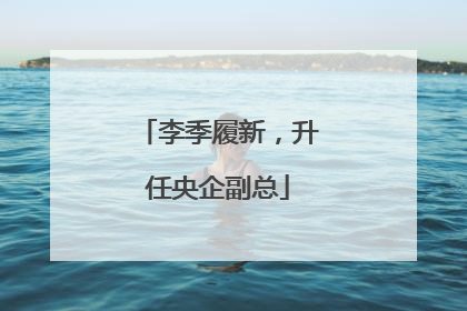 李季履新，升任央企副总