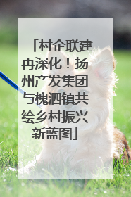 村企联建再深化！扬州产发集团与槐泗镇共绘乡村振兴新蓝图