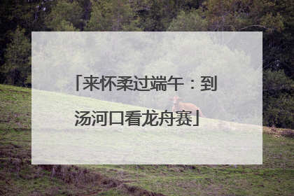 来怀柔过端午：到汤河口看龙舟赛