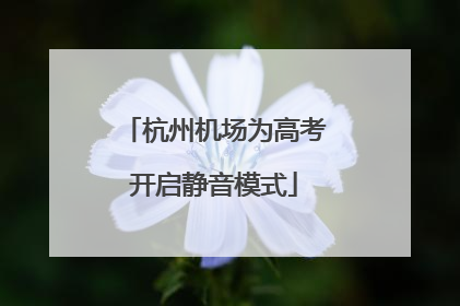 杭州机场为高考开启静音模式