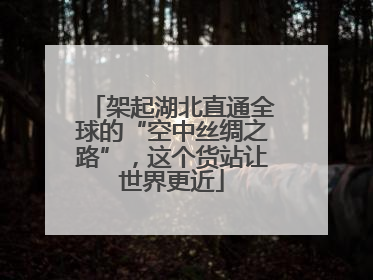 架起湖北直通全球的“空中丝绸之路”，这个货站让世界更近