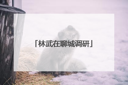 林武在聊城调研