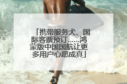 携带服务犬、国际客票预订……鸿蒙版中国国航让更多用户心愿成真