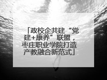 政校企共建“党建+康养”联盟，枣庄职业学院打造产教融合新范式