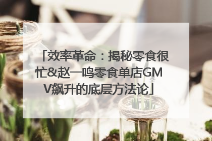 效率革命：揭秘零食很忙&赵一鸣零食单店GMV飙升的底层方法论