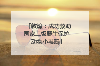 敦煌：成功救助国家二级野生保护动物小苇鳽