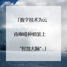数字技术为云南咖啡种植装上“智慧大脑”