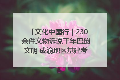 文化中国行｜230余件文物诉说千年巴蜀文明 成渝地区基建考古成果展开展