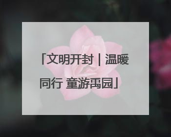 文明开封｜温暖同行 童游禹园