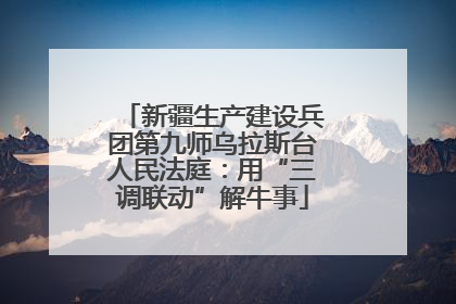 新疆生产建设兵团第九师乌拉斯台人民法庭：用“三调联动”解牛事