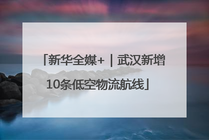 新华全媒+｜武汉新增10条低空物流航线