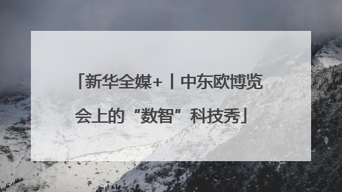 新华全媒+丨中东欧博览会上的“数智”科技秀