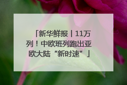 新华鲜报丨11万列！中欧班列跑出亚欧大陆“新时速”
