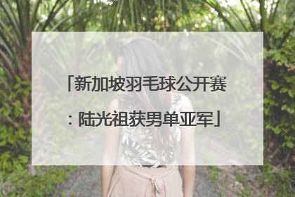 新加坡羽毛球公开赛：陆光祖获男单亚军