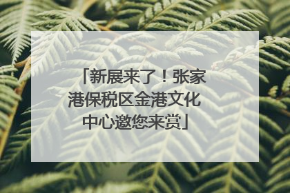 新展来了！张家港保税区金港文化中心邀您来赏