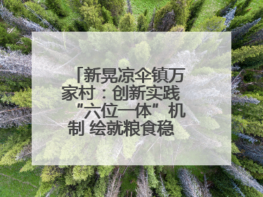 新晃凉伞镇万家村：创新实践“六位一体”机制 绘就粮食稳产增收新图景