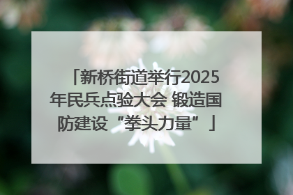 新桥街道举行2025年民兵点验大会 锻造国防建设“拳头力量”