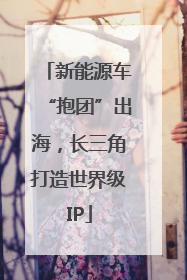 新能源车“抱团”出海，长三角打造世界级IP