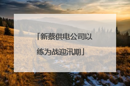 新蔡供电公司以练为战迎汛期