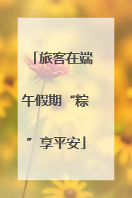 旅客在端午假期“粽”享平安