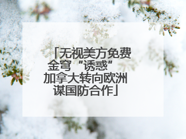 无视美方免费金穹“诱惑” 加拿大转向欧洲谋国防合作