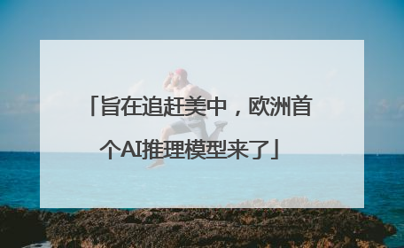 旨在追赶美中，欧洲首个AI推理模型来了
